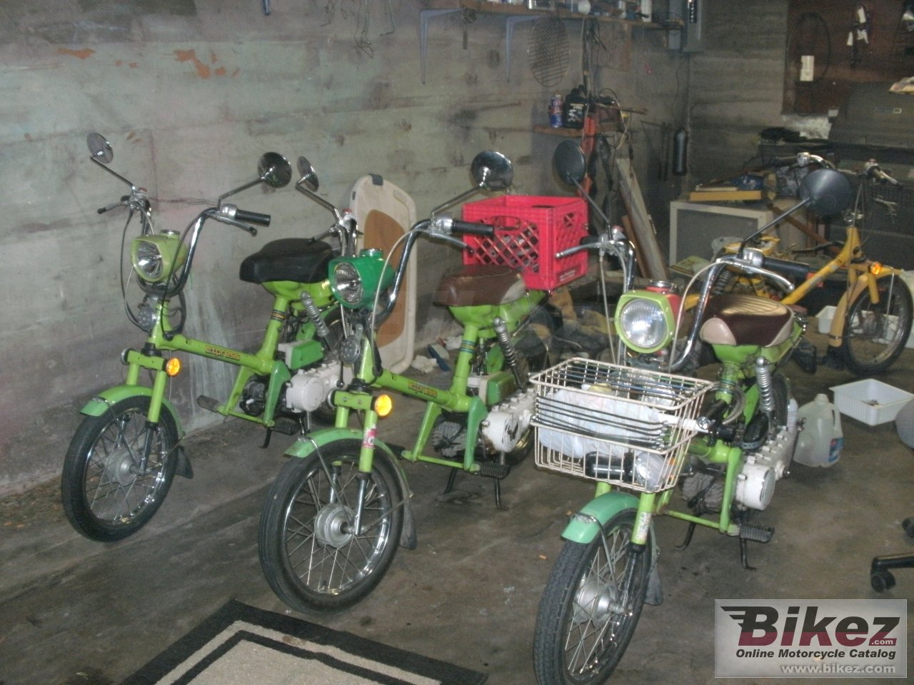 Honda Express picture